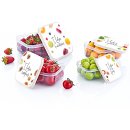 Aufbewahrungs Dosen Set 4 teilig - FUNBOX - (02 0979)