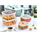 Aufbewahrungs Dosen Set 4 teilig - FUNBOX - (02 0979)